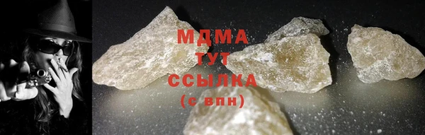 прущие грибы Михайлов