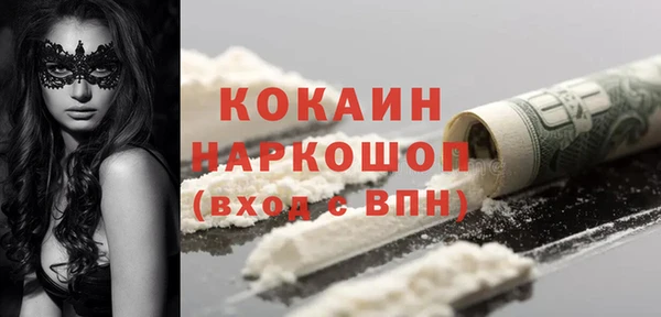 прущие грибы Михайлов