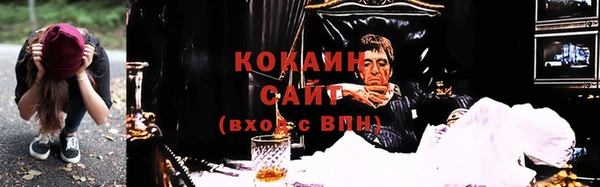 сатива Бронницы