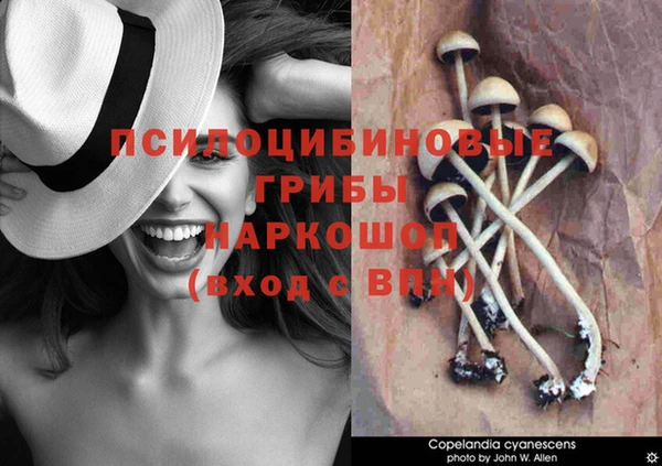бутик Верея