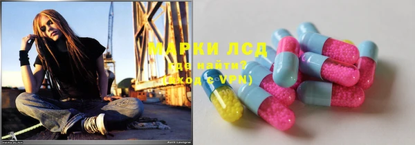 прущие грибы Михайлов
