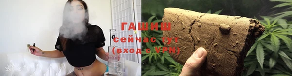 прущие грибы Михайлов