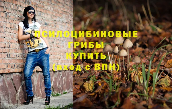 ALPHA PVP Кострома