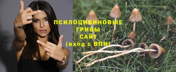 гидропоника Михайловск