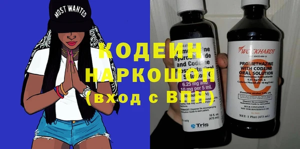 прущие грибы Михайлов